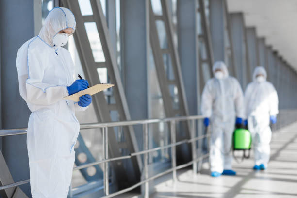 Best Environmental Consulting for Mold Prevention  in Lexico, CA