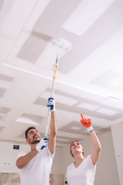 Reliable Calexico, CA Mold Removal Solutions