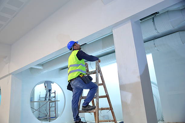 Best Post-Construction Mold Inspection  in Lexico, CA